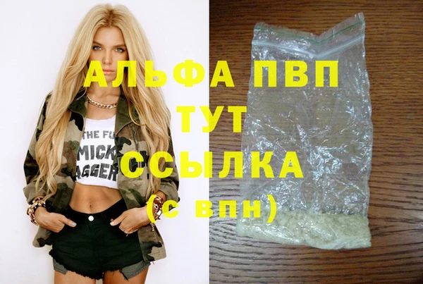 дурь Богданович