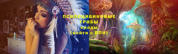 бошки Богородицк