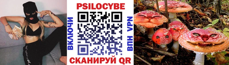 Галлюциногенные грибы MAGIC MUSHROOMS Козьмодемьянск